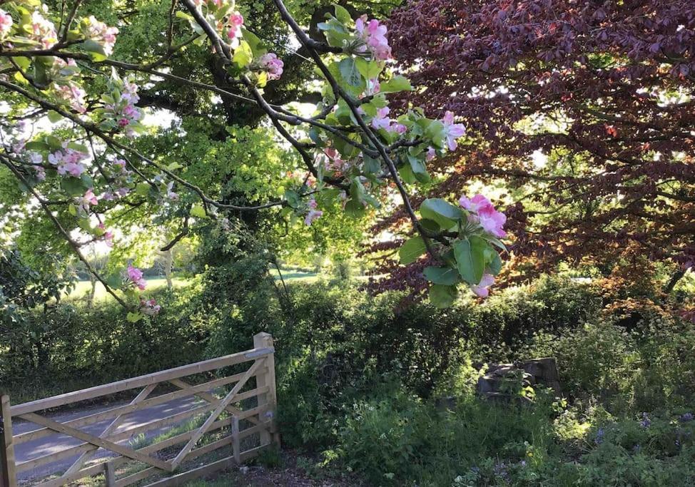 Simpers Drift Holiday home Saxmundham